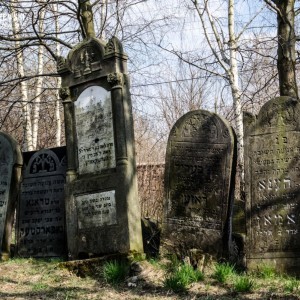 Cmentarz żydowski w Pruszkowie – relacja z dnia otwartego
