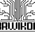 Sala robotów, walki sumo i ściana wspinaczkowa – program konwentu Brwikon