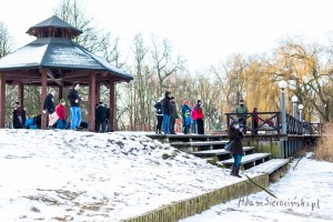 adam sierociński fotografia - morsy pruszków