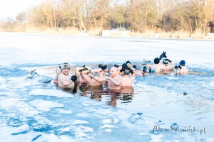 adam sierociński fotografia - morsy pruszków