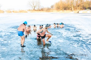 adam sierociński fotografia - morsy pruszków