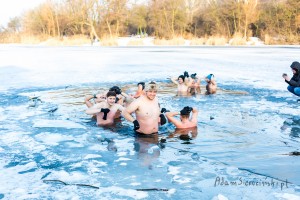 adam sierociński fotografia - morsy pruszków