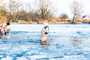 adam sierociński fotografia - morsy pruszków