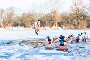 adam sierociński fotografia - morsy pruszków