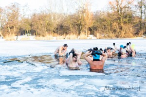 adam sierociński fotografia - morsy pruszków