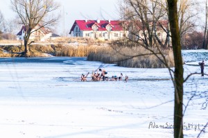 adam sierociński fotografia - morsy pruszków